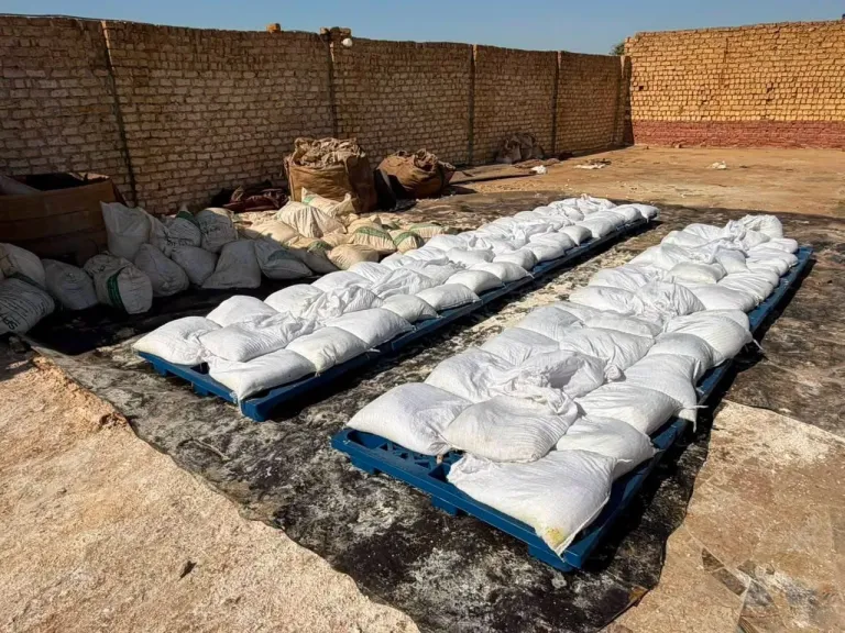 جانب من المضبوطات 