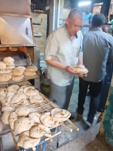 جانب من المضبوطات 