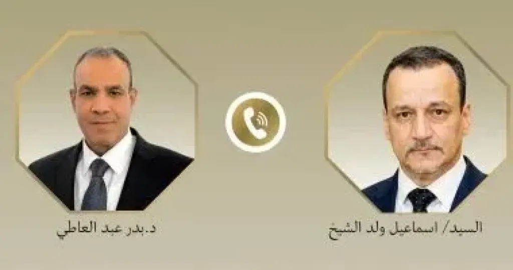 وزير الخارجية مع أمين عام منظمة التعاون الإسلامي