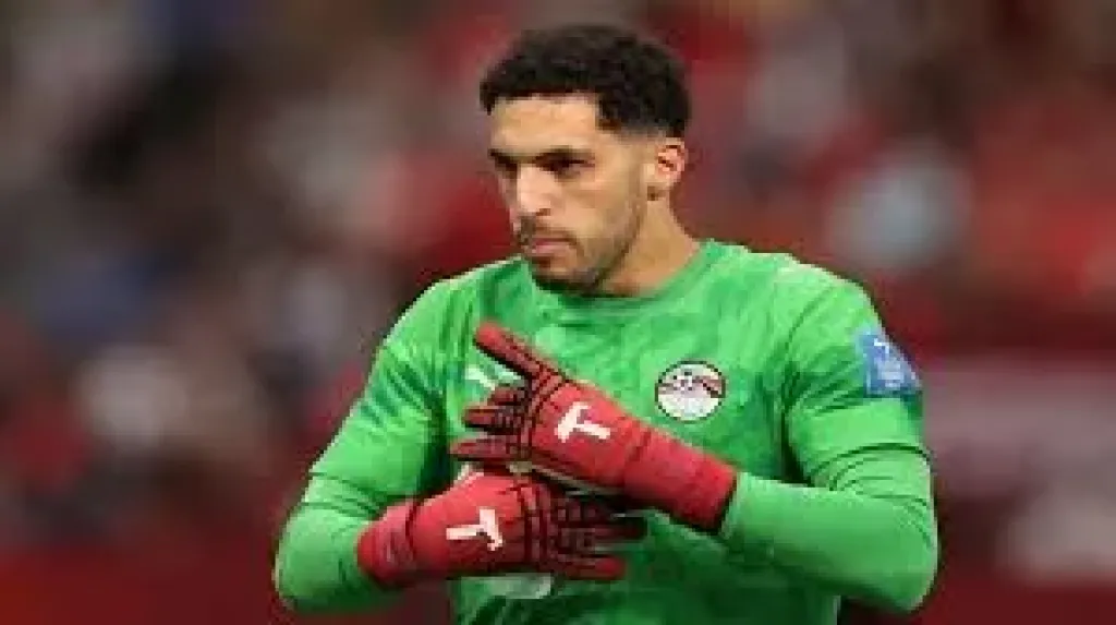 محمد الشناوى