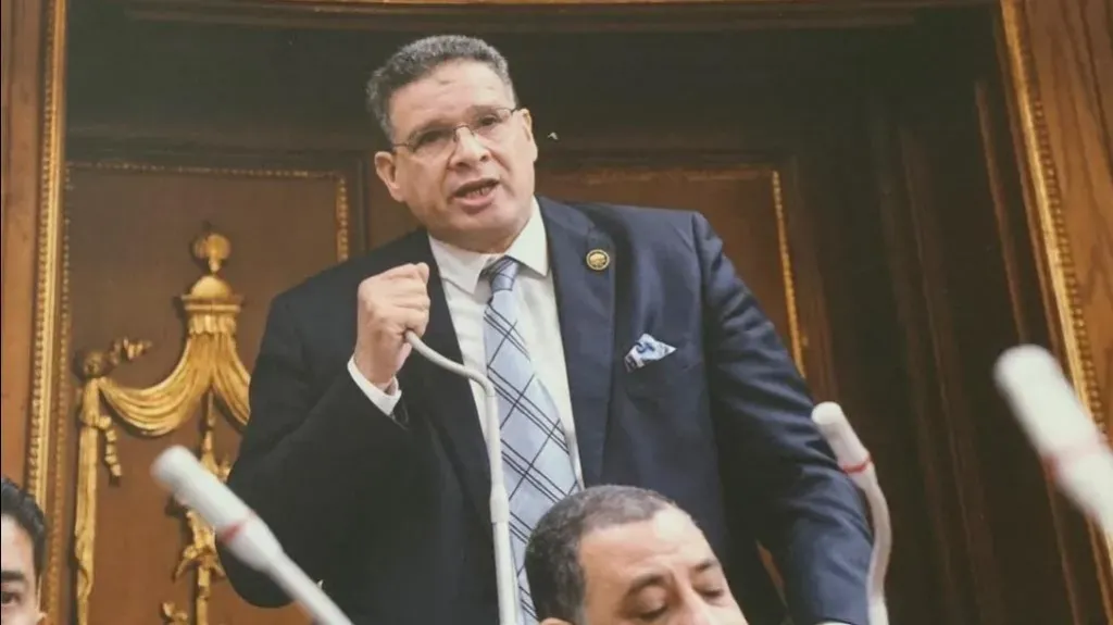 عصام العمدة، عضو مجلس النواب