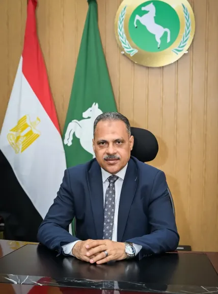 حازم الاشمونى 