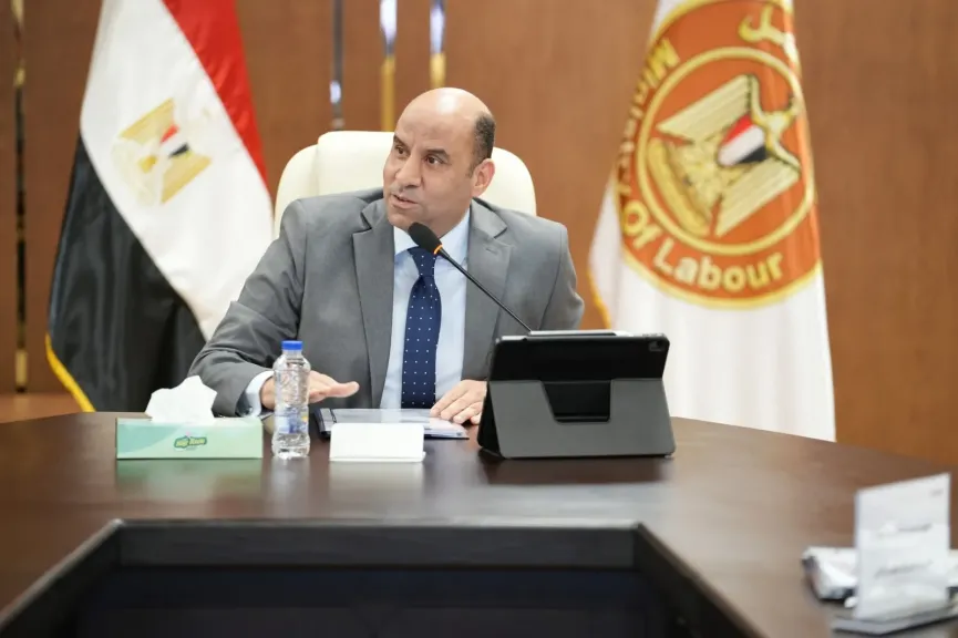 وزير العمل 