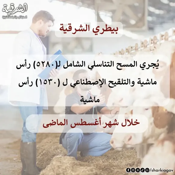 احصائية النشاط