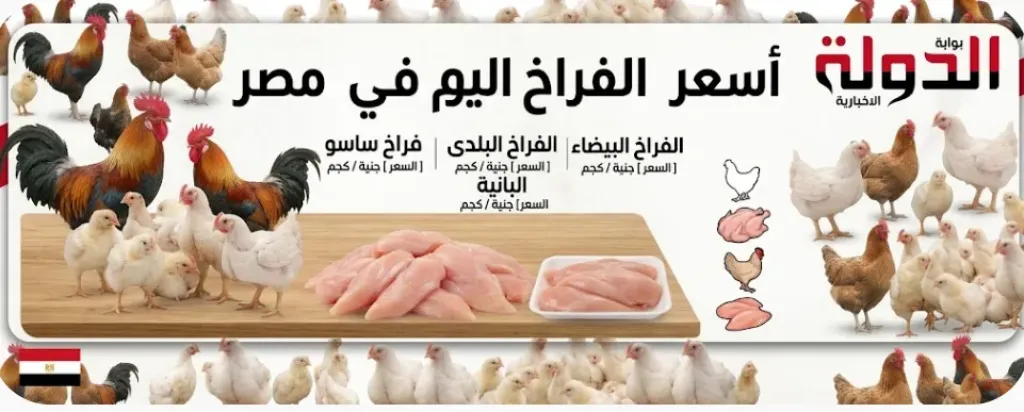 اسعار الفراخ