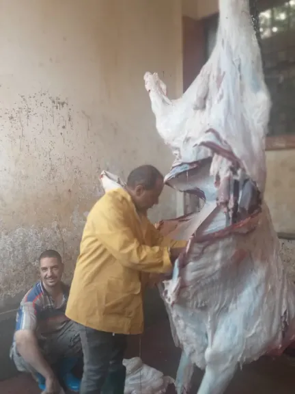 جانب من متابعه 