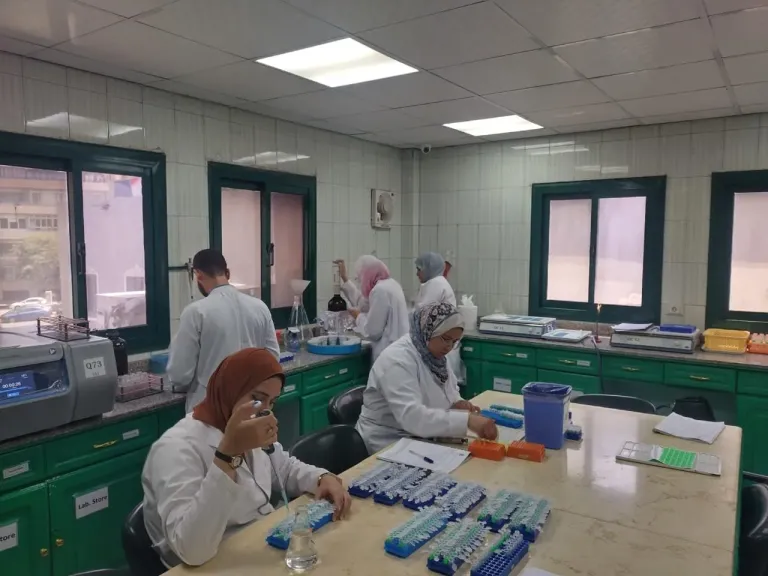 فحص أكثر من مليون طن من بطاطس المائدة المعدة للتصدير 