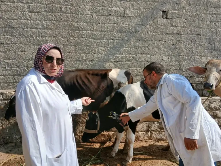 جانب من حملة التحصين