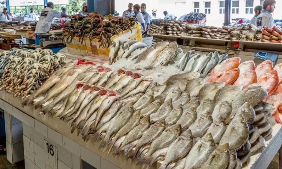 اسعار السمك