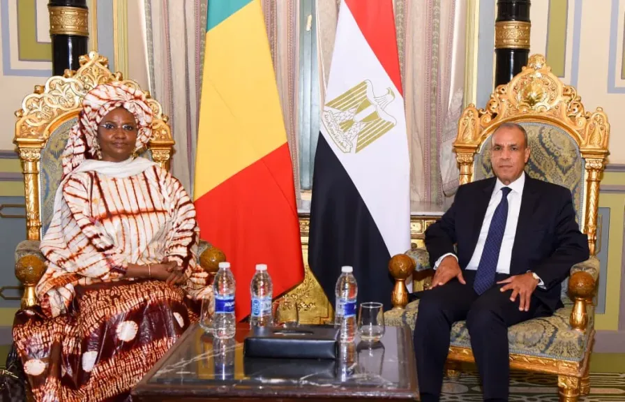 اجتماع وزير الخارجية مع وزيرة ريادة الأعمال والتوظيف والتدريب الفني بمالي
