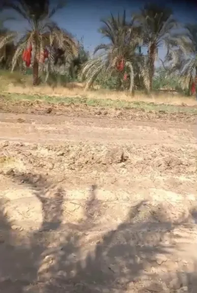 جانب من متابعه 