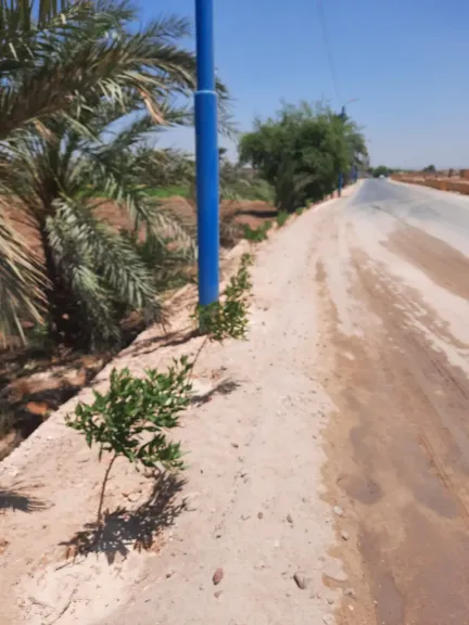 جانب من متابعه 