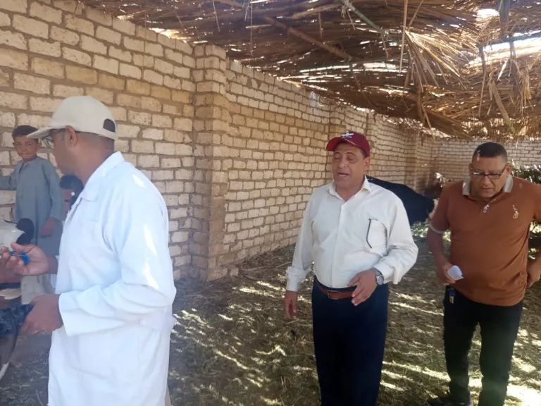بيطري الأقصر يحصّن أكثر من 21 ألف حيوان