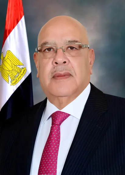المستشار هشام بدوى
