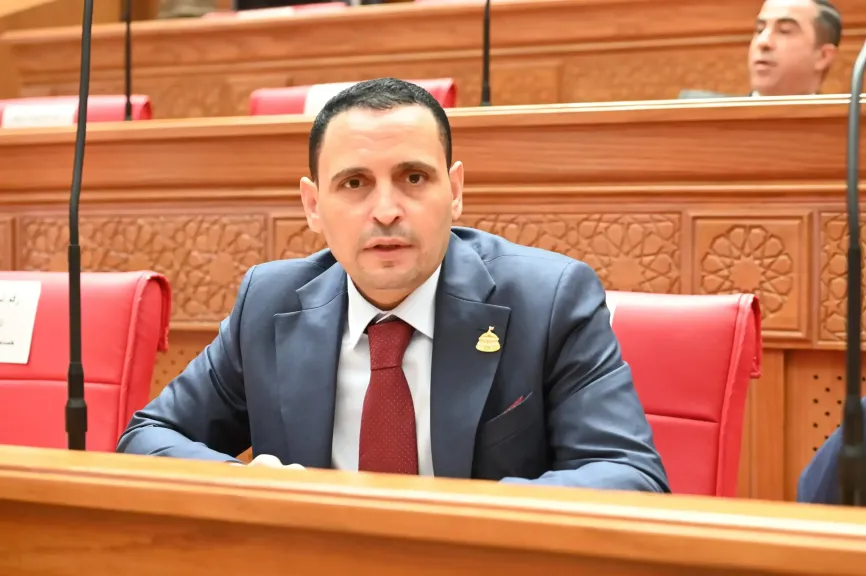 النائب إسلام التلواني