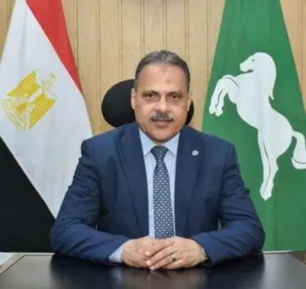محافظ الشرقية 