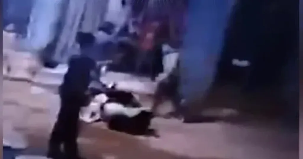 مشاجرة 