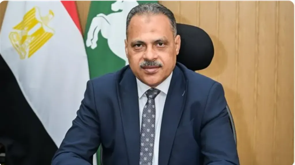 المهندس حازم الاشمونى
