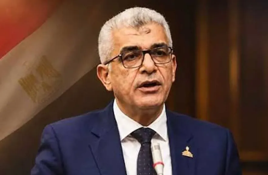 النائب محمد سلامة، عضو مجلس الشيوخ