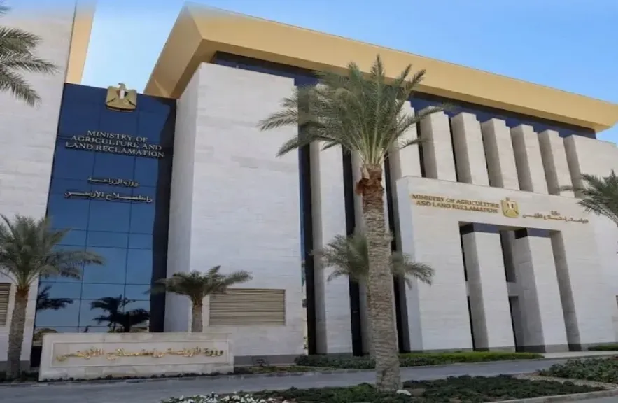 الزراعة