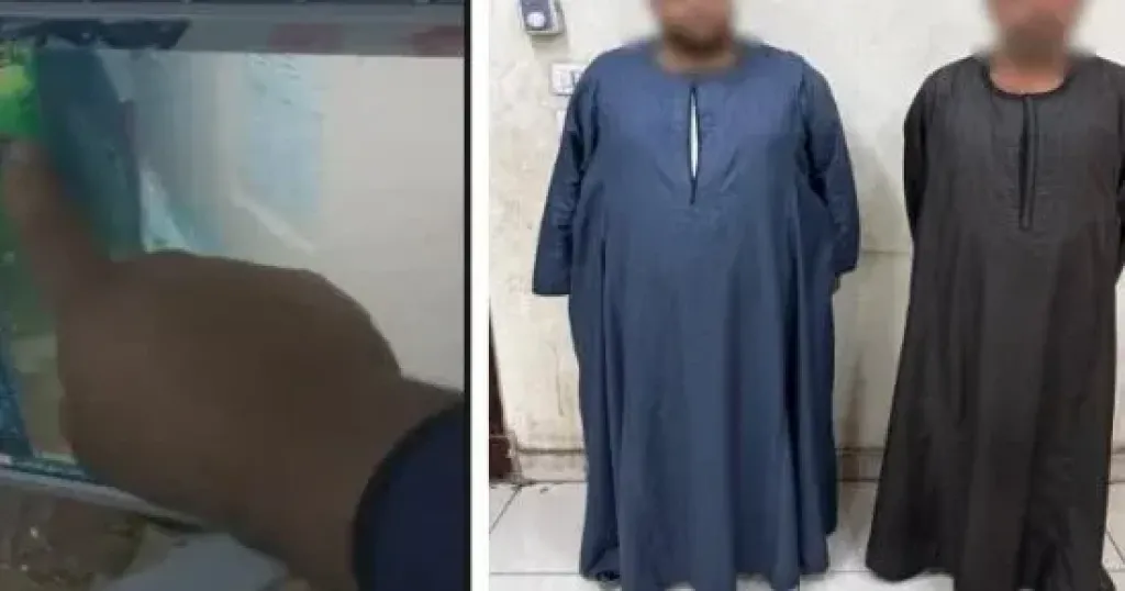 المتهمين 