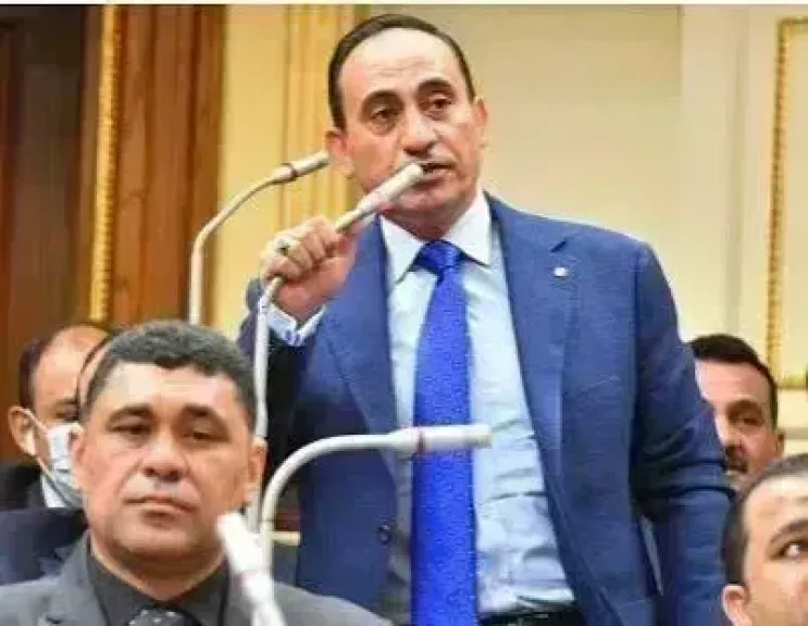 النائب محمد زين الدين