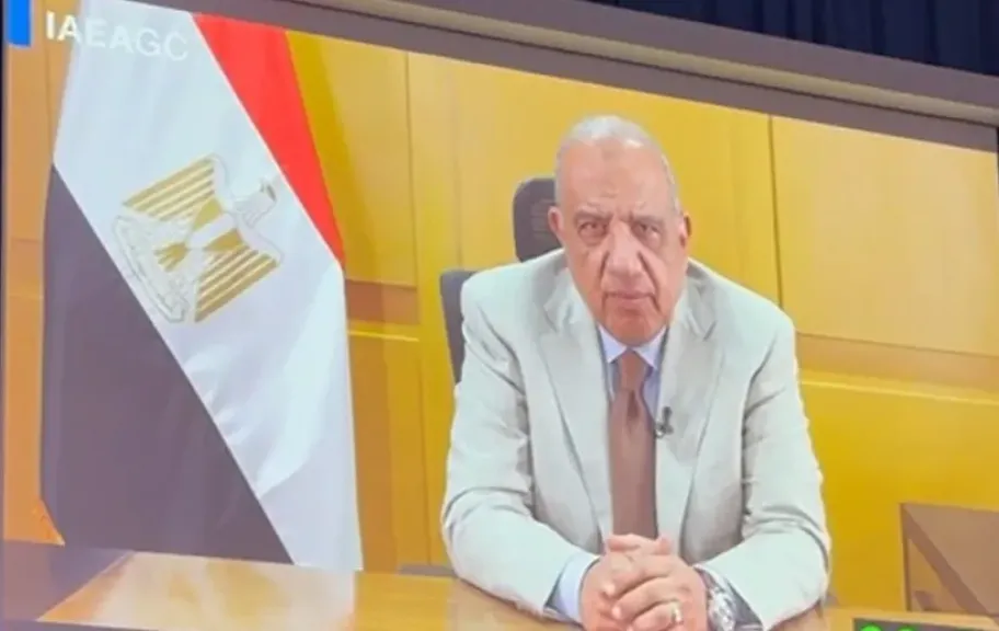 وزير الكهرباء