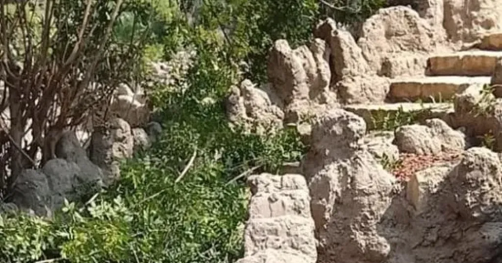 حديقة الاسماك