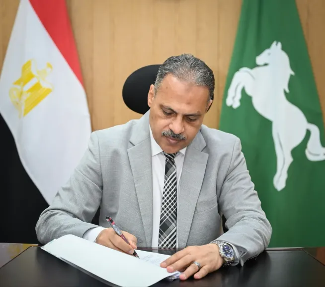 محافظ الشرقية 