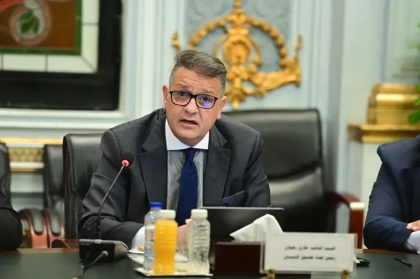النائب طارق رضوان رئيس لجنة حقوق الإنسان بمجلس النواب