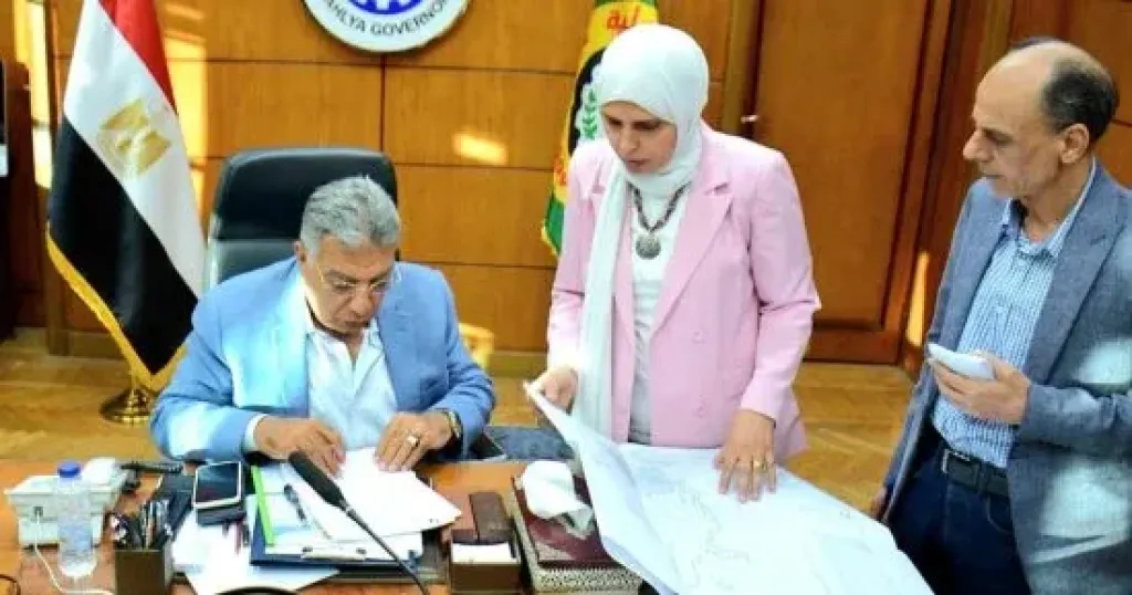 محافظ الدقهلية 