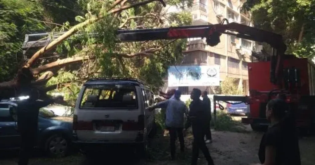 جانب من الحادث 