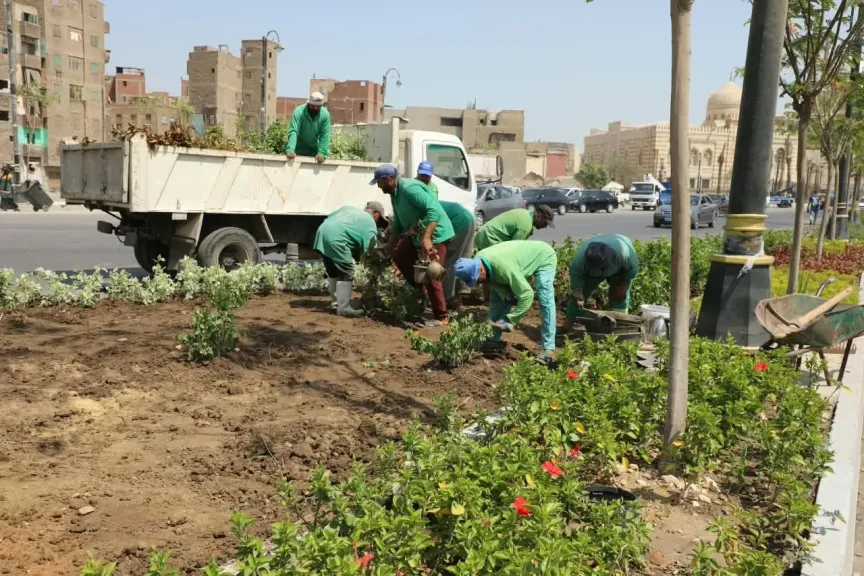 زراعة الأشجار