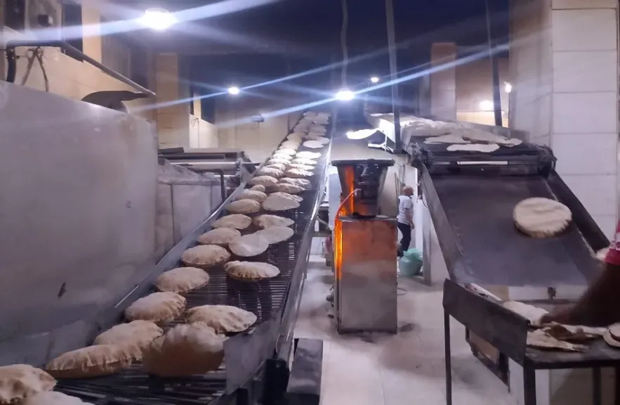 ضبط دقيق مدعم ولحوم مجهولة المصدر في المنوفيه 