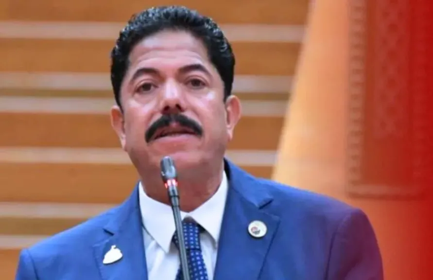 النائب علاء الحديوي، عضو مجلس النواب