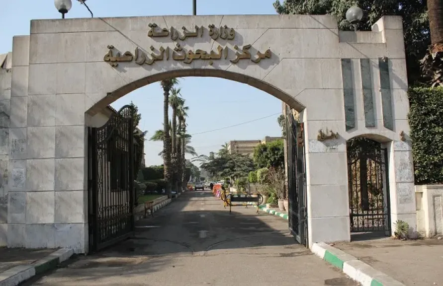 مركز البحوث الزراعية