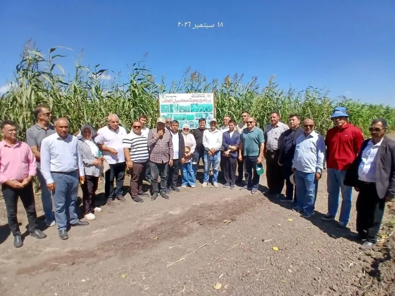 محطة البحوث الزراعية بسخا بمحافظة كفر الشيخ