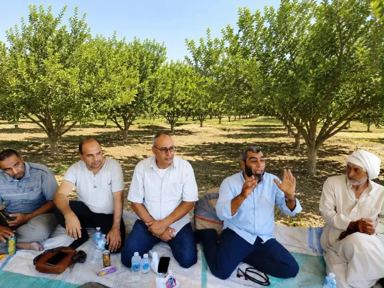 جهود وأنشطة قطاع استصلاح الأراضي