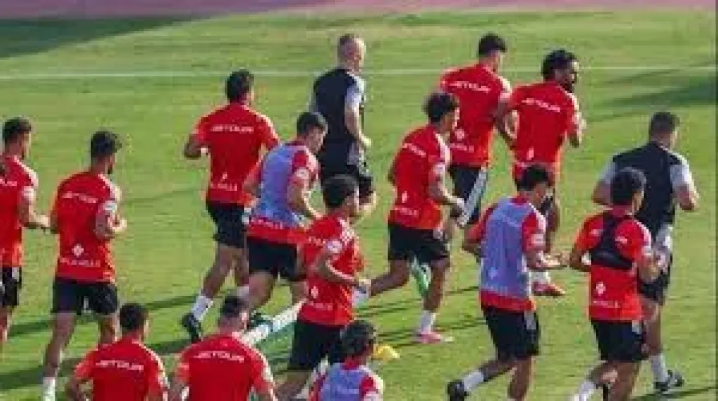 الاهلى