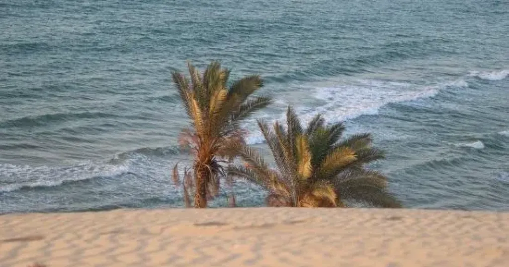الطقس 