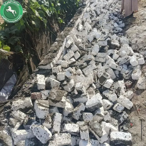 جانب من الازالات 