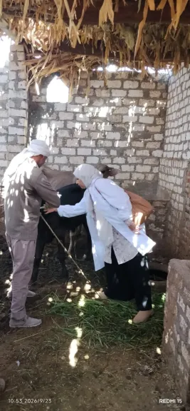 جانب من متابعه 