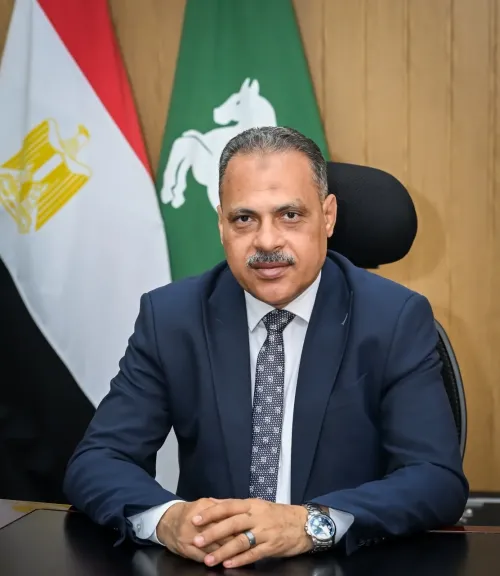 محافظ الشرقية 