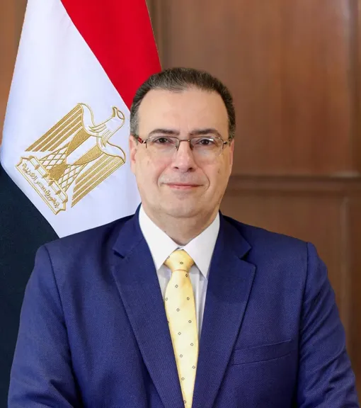 رئيس الجهاز المركزى للتنظيم والإدارة صورة أرشيفية