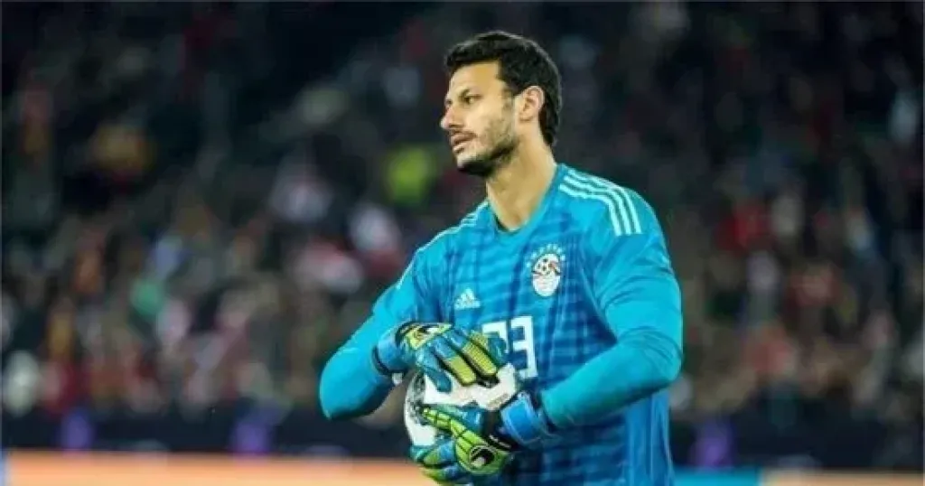 محمد الشناوي 