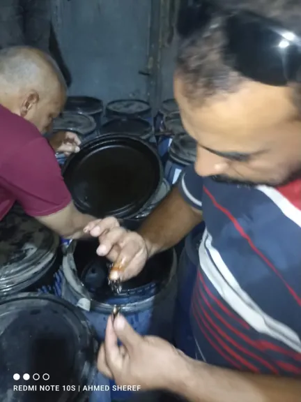 المضبوطات 
