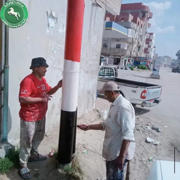 تجميل مدينة فاقوس