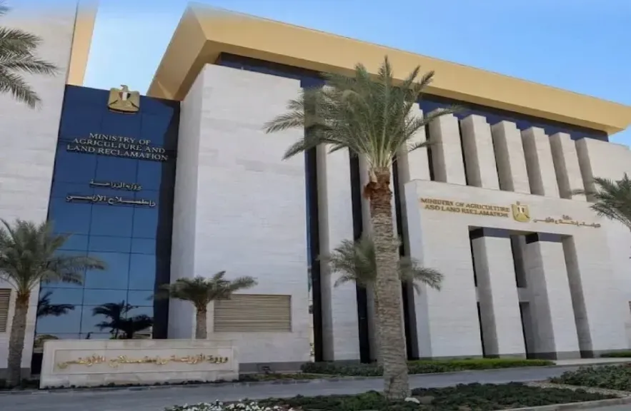الزراعة 
