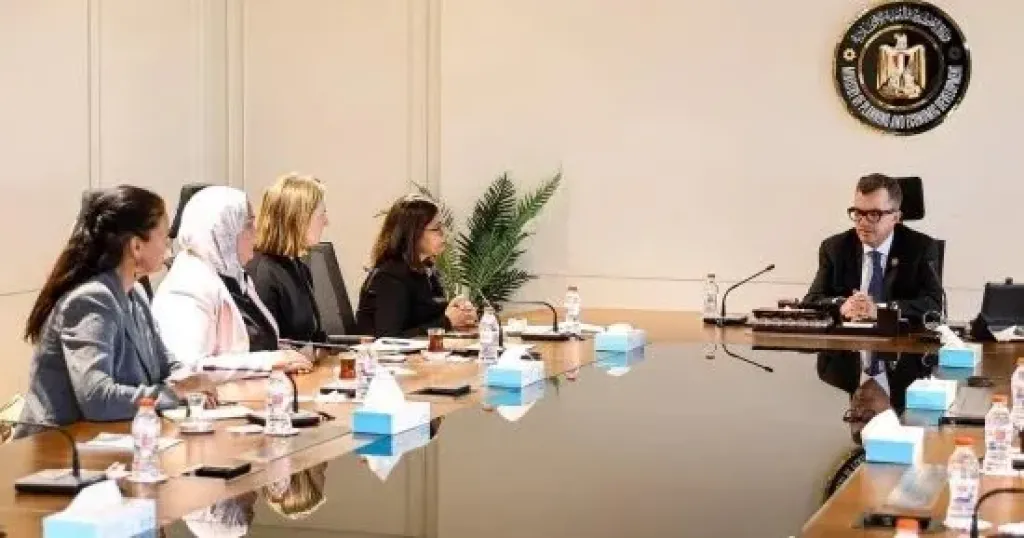 وزير التخطيط