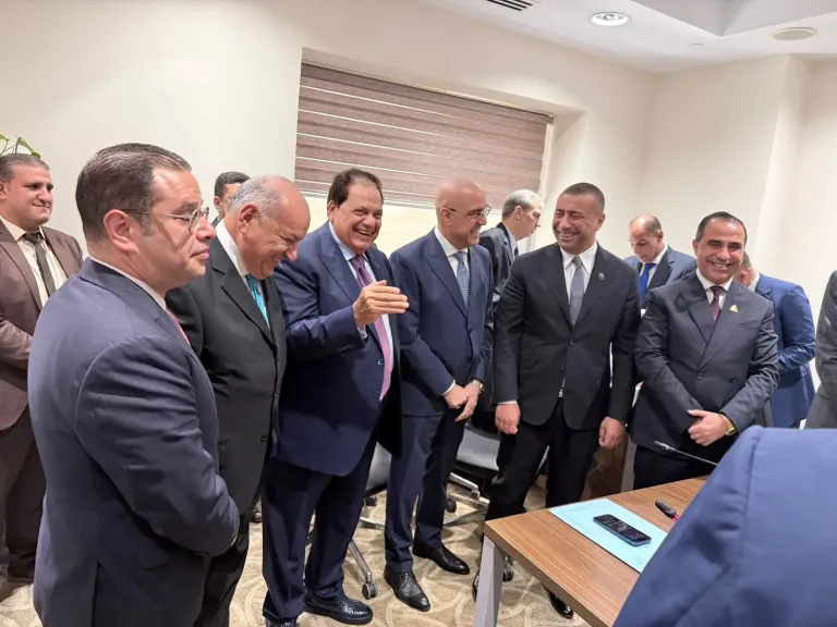 انتخابات لجان النواب
